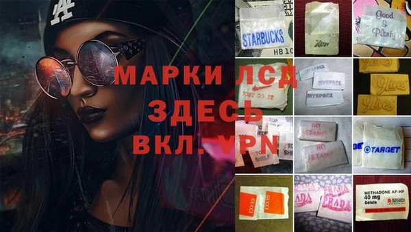 ALPHA PVP Аркадак