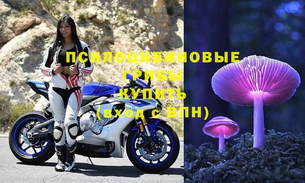 СК Арсеньев