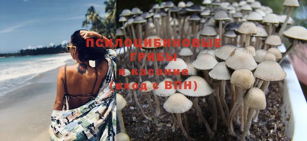 СК Арсеньев