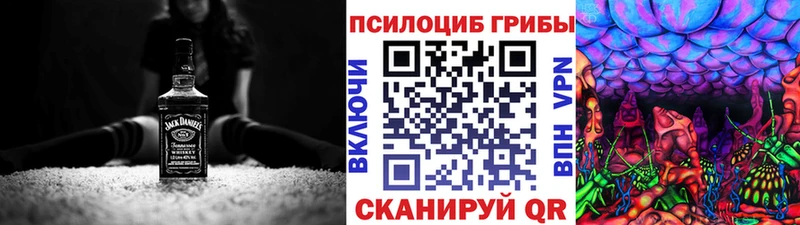 цены   Искитим  Псилоцибиновые грибы MAGIC MUSHROOMS 